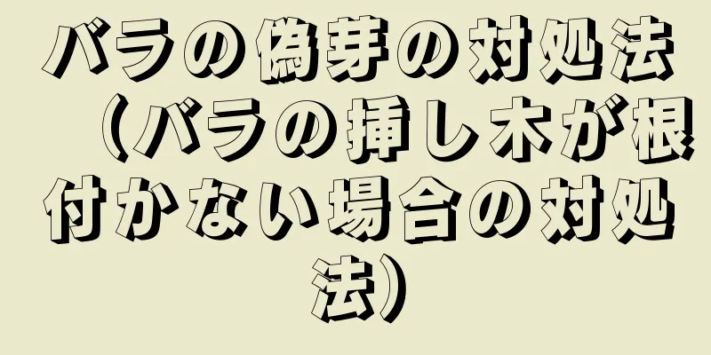 バラの偽芽の対処法（バラの挿し木が根付かない場合の対処法）