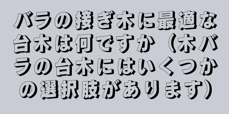 バラの接ぎ木に最適な台木は何ですか（木バラの台木にはいくつかの選択肢があります）