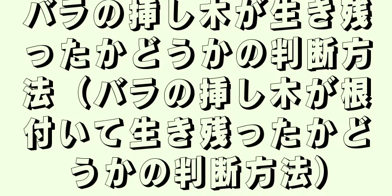 バラの挿し木が生き残ったかどうかの判断方法（バラの挿し木が根付いて生き残ったかどうかの判断方法）