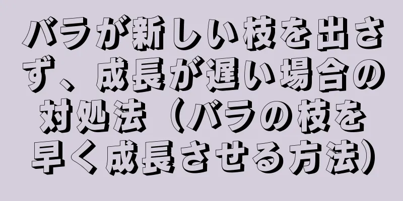 バラが新しい枝を出さず、成長が遅い場合の対処法（バラの枝を早く成長させる方法）