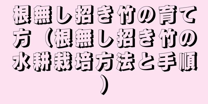 根無し招き竹の育て方（根無し招き竹の水耕栽培方法と手順）