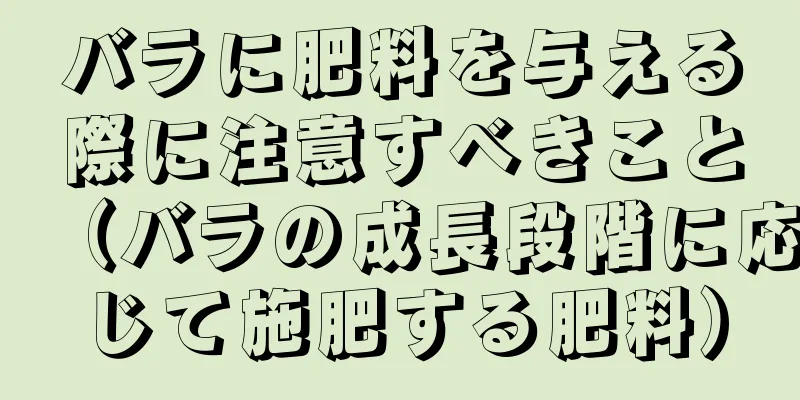 バラに肥料を与える際に注意すべきこと（バラの成長段階に応じて施肥する肥料）