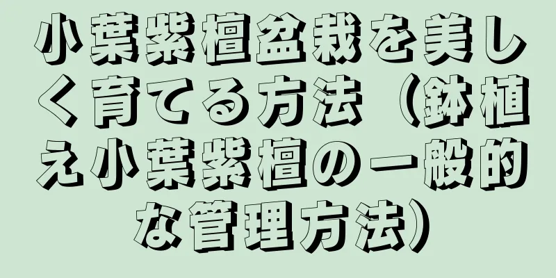 小葉紫檀盆栽を美しく育てる方法（鉢植え小葉紫檀の一般的な管理方法）