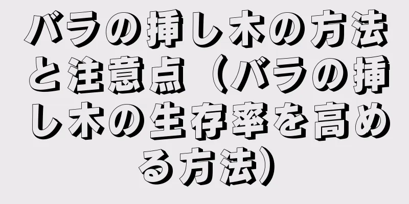 バラの挿し木の方法と注意点（バラの挿し木の生存率を高める方法）