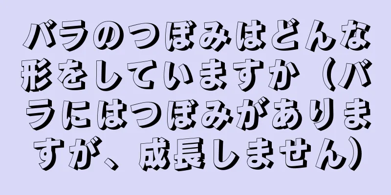 バラのつぼみはどんな形をしていますか（バラにはつぼみがありますが、成長しません）