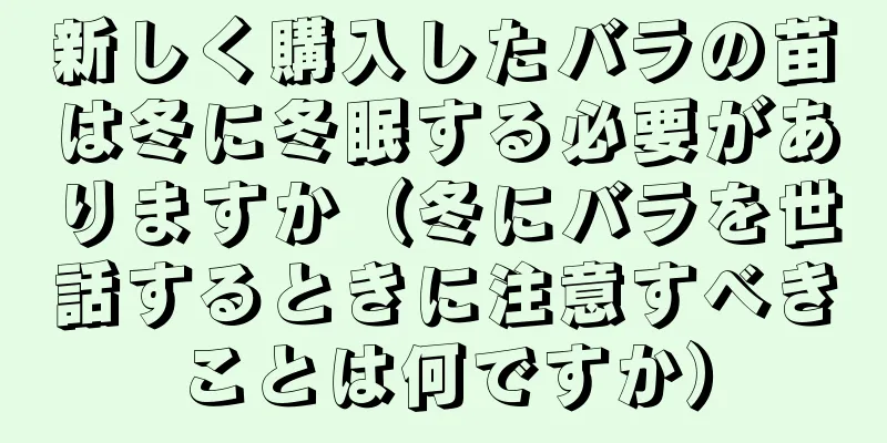 新しく購入したバラの苗は冬に冬眠する必要がありますか（冬にバラを世話するときに注意すべきことは何ですか）