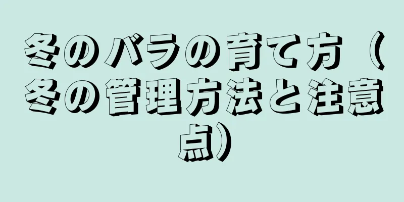 冬のバラの育て方（冬の管理方法と注意点）