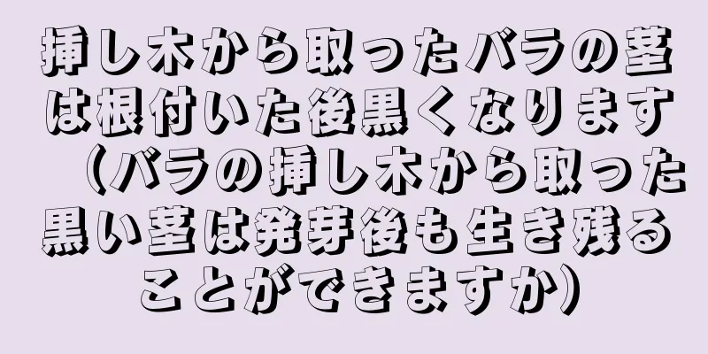 挿し木から取ったバラの茎は根付いた後黒くなります（バラの挿し木から取った黒い茎は発芽後も生き残ることができますか）