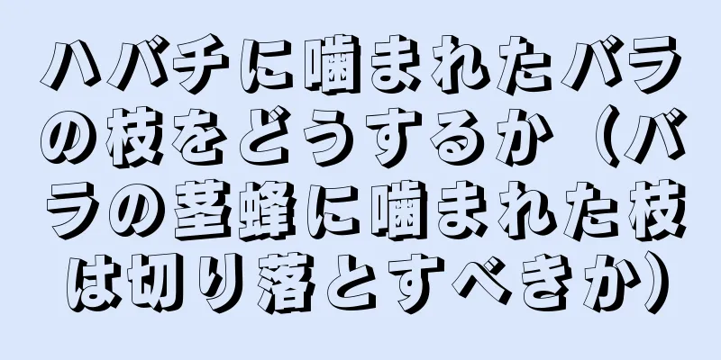 ハバチに噛まれたバラの枝をどうするか（バラの茎蜂に噛まれた枝は切り落とすべきか）