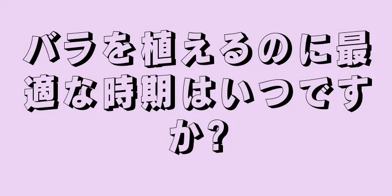 バラを植えるのに最適な時期はいつですか?