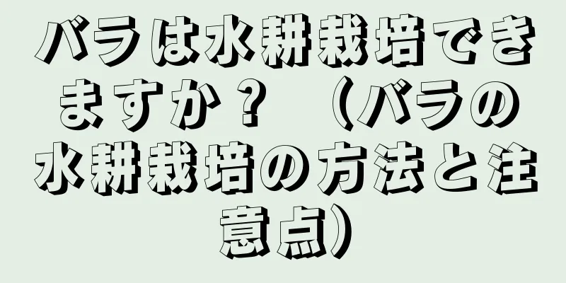 バラは水耕栽培できますか？ （バラの水耕栽培の方法と注意点）