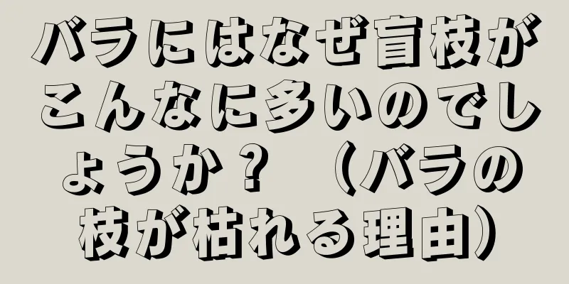 バラにはなぜ盲枝がこんなに多いのでしょうか？ （バラの枝が枯れる理由）