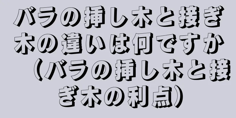 バラの挿し木と接ぎ木の違いは何ですか（バラの挿し木と接ぎ木の利点）
