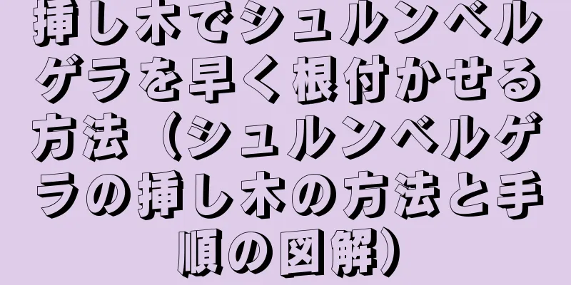挿し木でシュルンベルゲラを早く根付かせる方法（シュルンベルゲラの挿し木の方法と手順の図解）