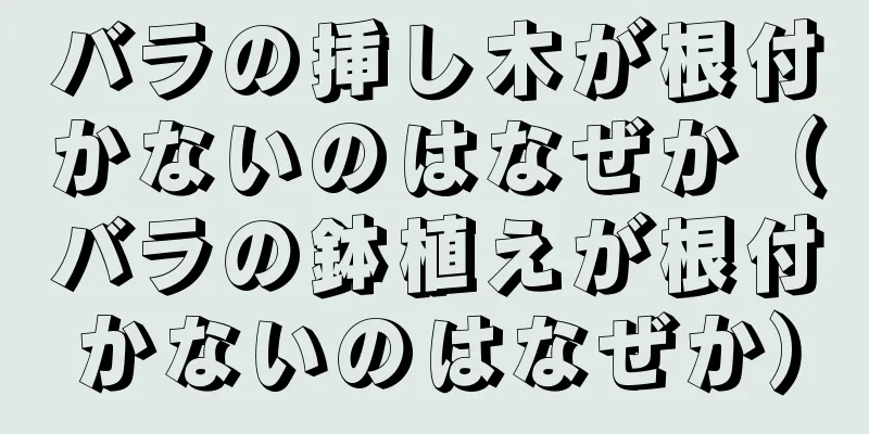 バラの挿し木が根付かないのはなぜか（バラの鉢植えが根付かないのはなぜか）