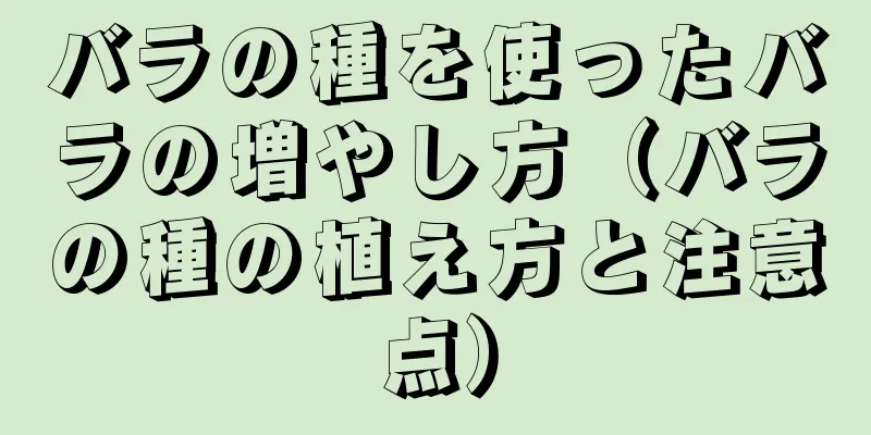 バラの種を使ったバラの増やし方（バラの種の植え方と注意点）