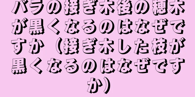 バラの接ぎ木後の穂木が黒くなるのはなぜですか（接ぎ木した枝が黒くなるのはなぜですか）