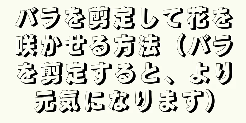 バラを剪定して花を咲かせる方法（バラを剪定すると、より元気になります）