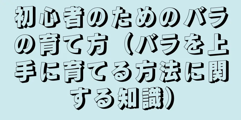 初心者のためのバラの育て方（バラを上手に育てる方法に関する知識）