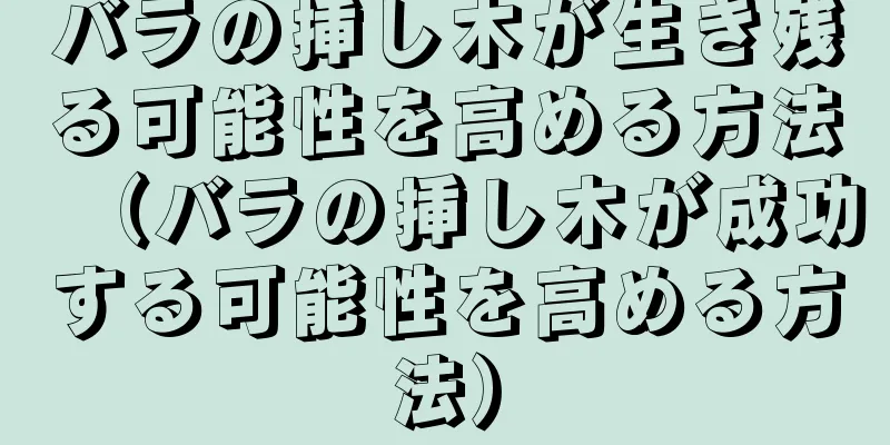 バラの挿し木が生き残る可能性を高める方法（バラの挿し木が成功する可能性を高める方法）