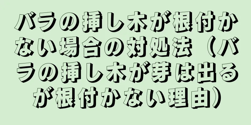 バラの挿し木が根付かない場合の対処法（バラの挿し木が芽は出るが根付かない理由）