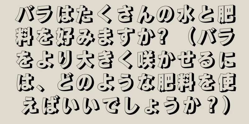 バラはたくさんの水と肥料を好みますか? （バラをより大きく咲かせるには、どのような肥料を使えばいいでしょうか？）