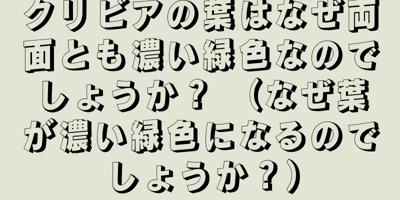 クリビアの葉はなぜ両面とも濃い緑色なのでしょうか？ （なぜ葉が濃い緑色になるのでしょうか？）