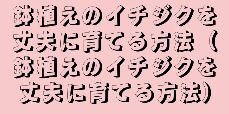 鉢植えのイチジクを丈夫に育てる方法（鉢植えのイチジクを丈夫に育てる方法）