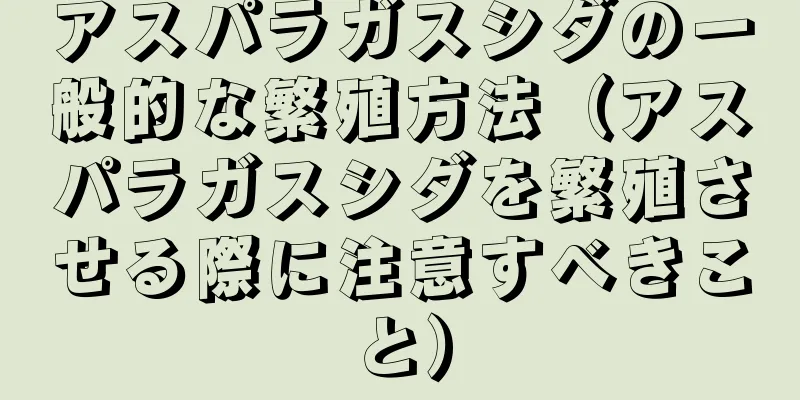 アスパラガスシダの一般的な繁殖方法（アスパラガスシダを繁殖させる際に注意すべきこと）