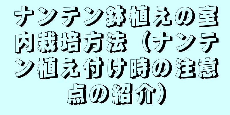 ナンテン鉢植えの室内栽培方法（ナンテン植え付け時の注意点の紹介）
