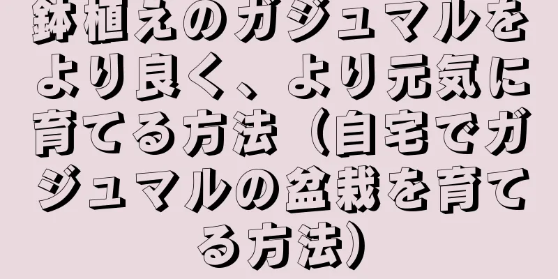 鉢植えのガジュマルをより良く、より元気に育てる方法（自宅でガジュマルの盆栽を育てる方法）