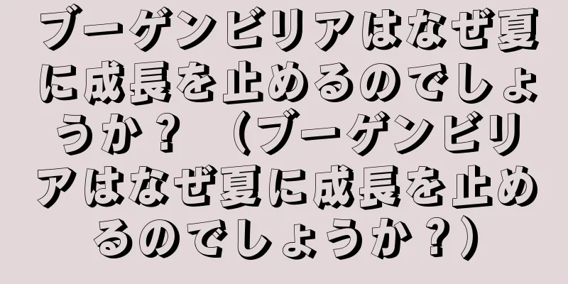 ブーゲンビリアはなぜ夏に成長を止めるのでしょうか？ （ブーゲンビリアはなぜ夏に成長を止めるのでしょうか？）