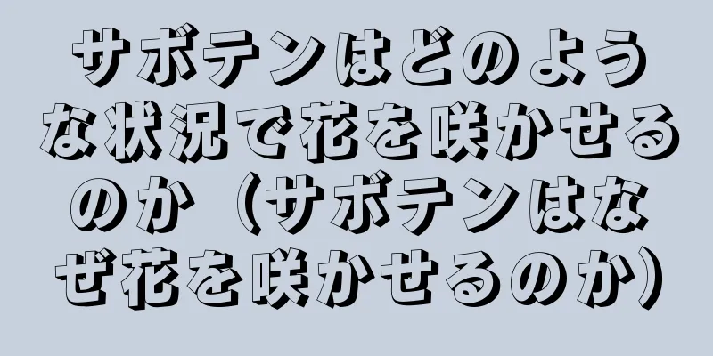 サボテンはどのような状況で花を咲かせるのか（サボテンはなぜ花を咲かせるのか）
