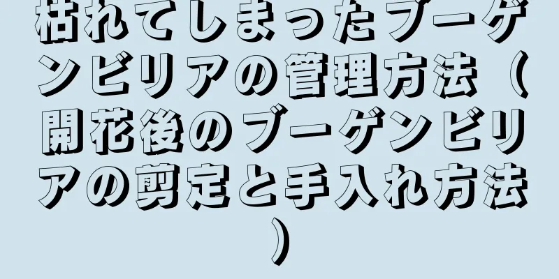 枯れてしまったブーゲンビリアの管理方法（開花後のブーゲンビリアの剪定と手入れ方法）