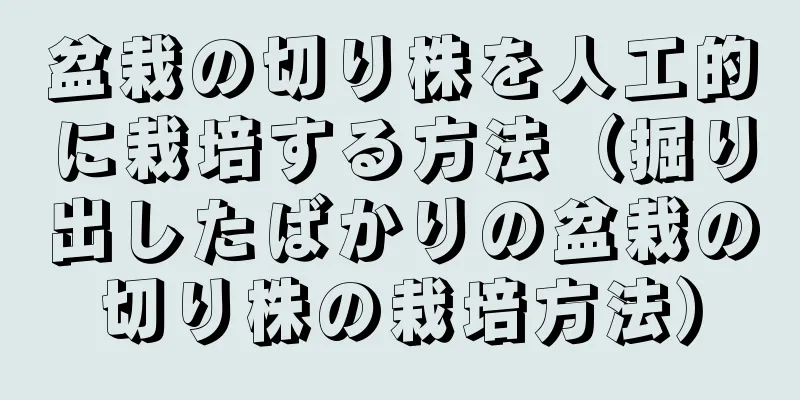 盆栽の切り株を人工的に栽培する方法（掘り出したばかりの盆栽の切り株の栽培方法）