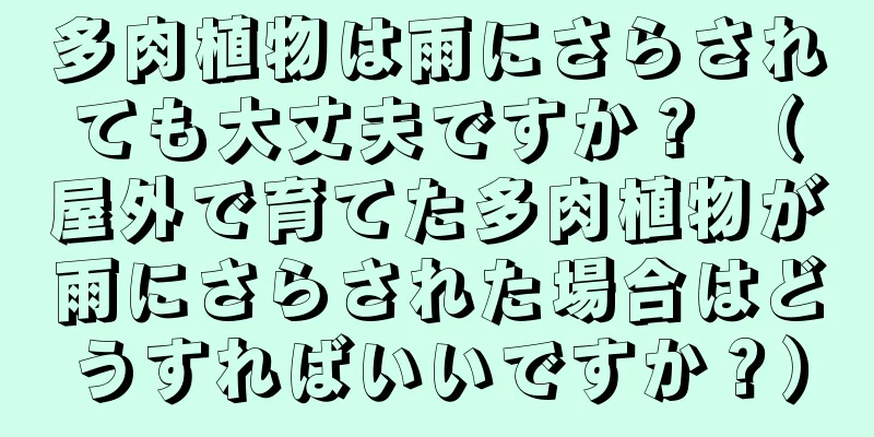 多肉植物は雨にさらされても大丈夫ですか？ （屋外で育てた多肉植物が雨にさらされた場合はどうすればいいですか？）