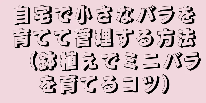 自宅で小さなバラを育てて管理する方法（鉢植えでミニバラを育てるコツ）