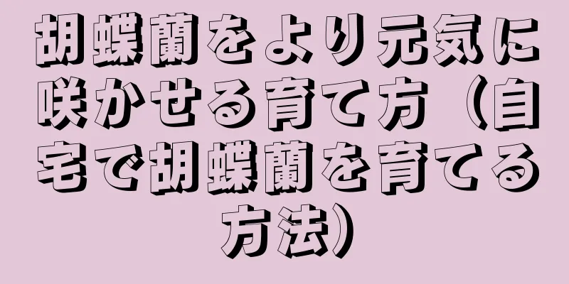 胡蝶蘭をより元気に咲かせる育て方（自宅で胡蝶蘭を育てる方法）