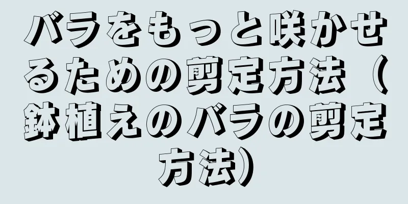 バラをもっと咲かせるための剪定方法（鉢植えのバラの剪定方法）