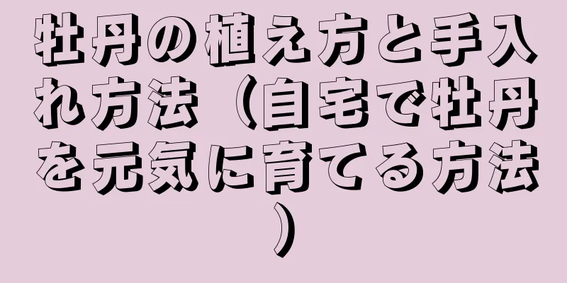 牡丹の植え方と手入れ方法（自宅で牡丹を元気に育てる方法）