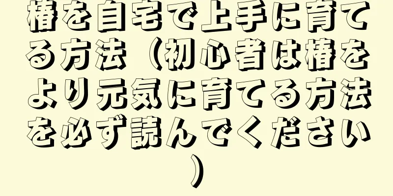 椿を自宅で上手に育てる方法（初心者は椿をより元気に育てる方法を必ず読んでください）