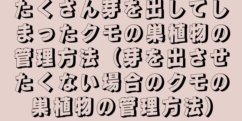 たくさん芽を出してしまったクモの巣植物の管理方法（芽を出させたくない場合のクモの巣植物の管理方法）