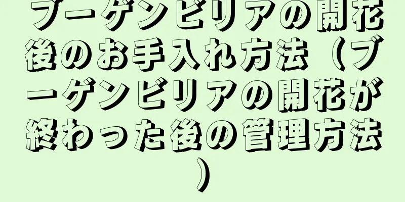ブーゲンビリアの開花後のお手入れ方法（ブーゲンビリアの開花が終わった後の管理方法）