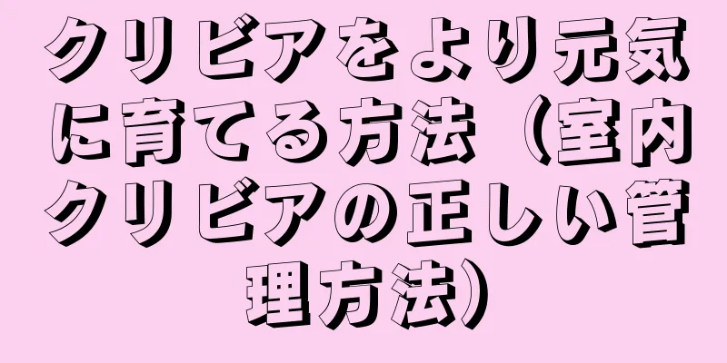 クリビアをより元気に育てる方法（室内クリビアの正しい管理方法）