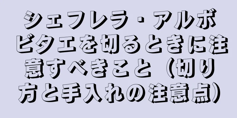 シェフレラ・アルボビタエを切るときに注意すべきこと（切り方と手入れの注意点）