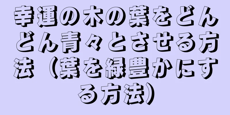幸運の木の葉をどんどん青々とさせる方法（葉を緑豊かにする方法）