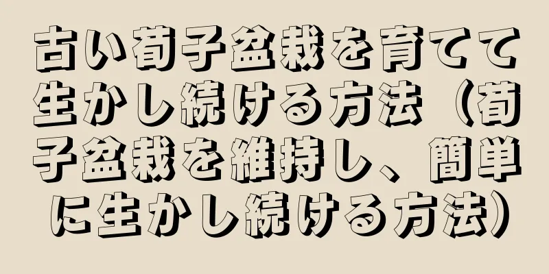 古い荀子盆栽を育てて生かし続ける方法（荀子盆栽を維持し、簡単に生かし続ける方法）