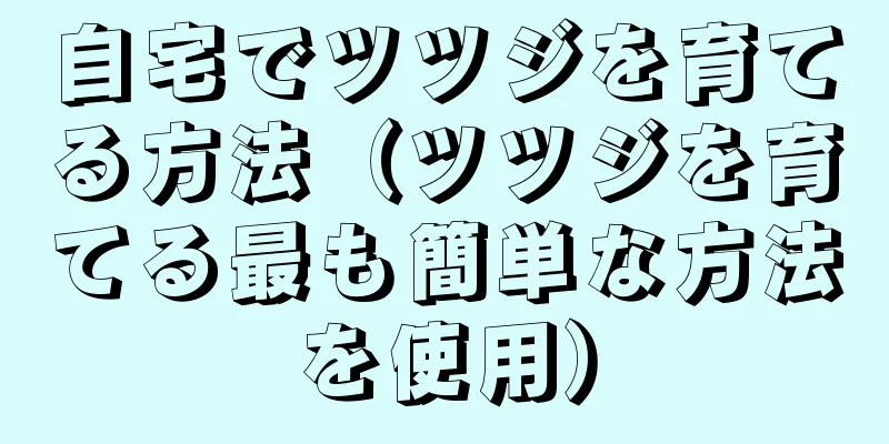 自宅でツツジを育てる方法（ツツジを育てる最も簡単な方法を使用）