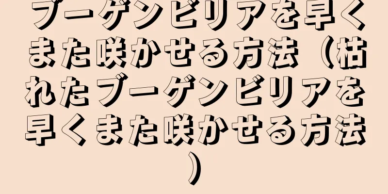 ブーゲンビリアを早くまた咲かせる方法（枯れたブーゲンビリアを早くまた咲かせる方法）