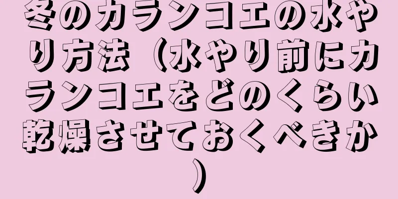 冬のカランコエの水やり方法（水やり前にカランコエをどのくらい乾燥させておくべきか）